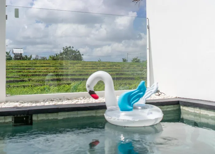 Sunrise Bliss 15 Ricefield View Private Pool By Bali Bliss